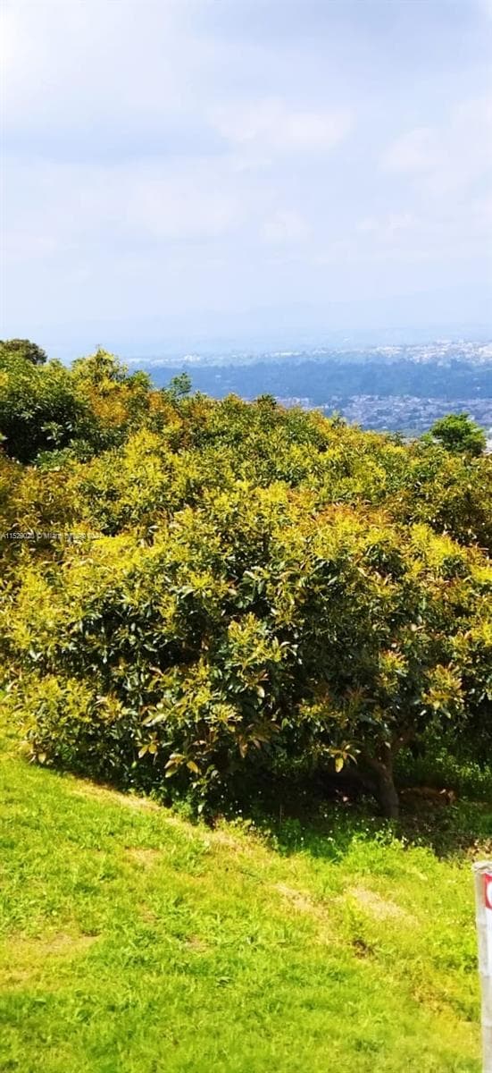 Armenia-Quindio, FL