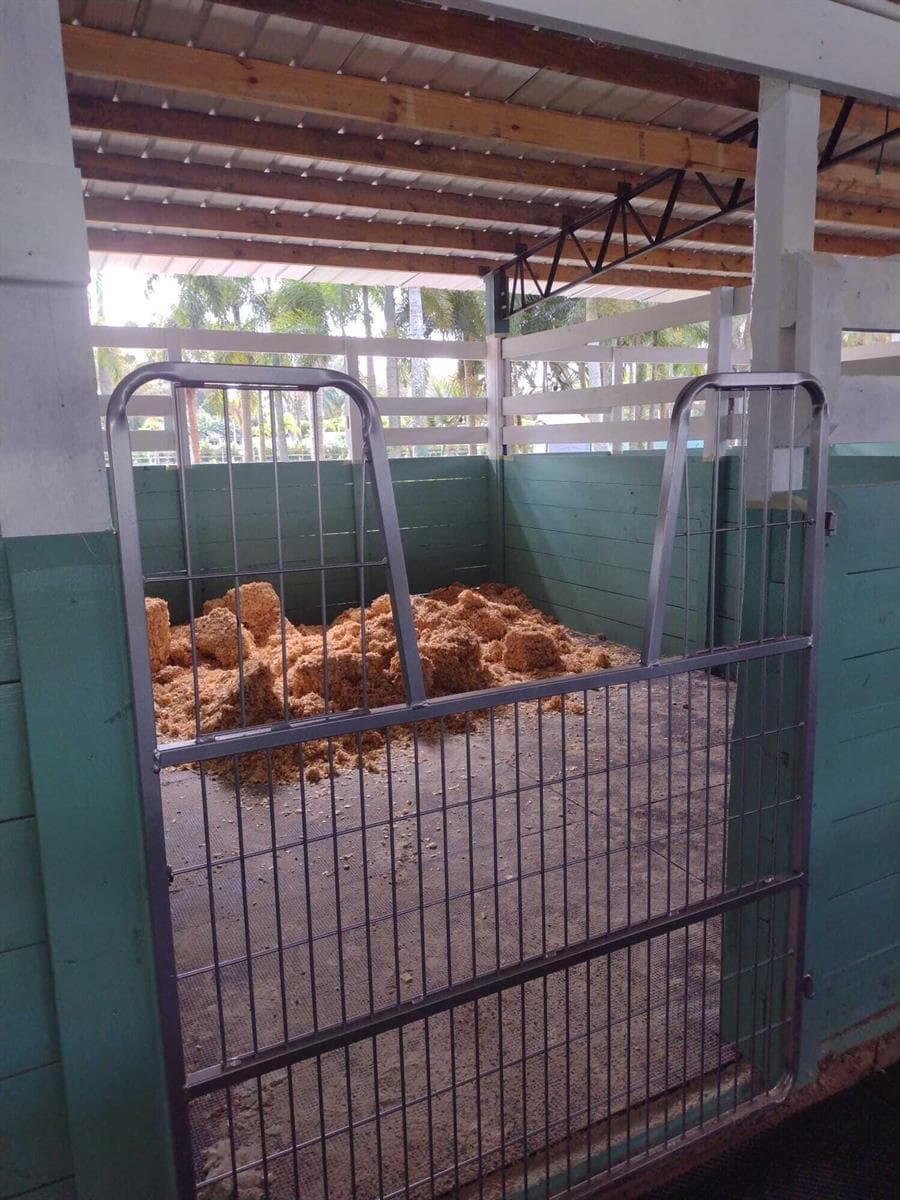 1100 stall inside