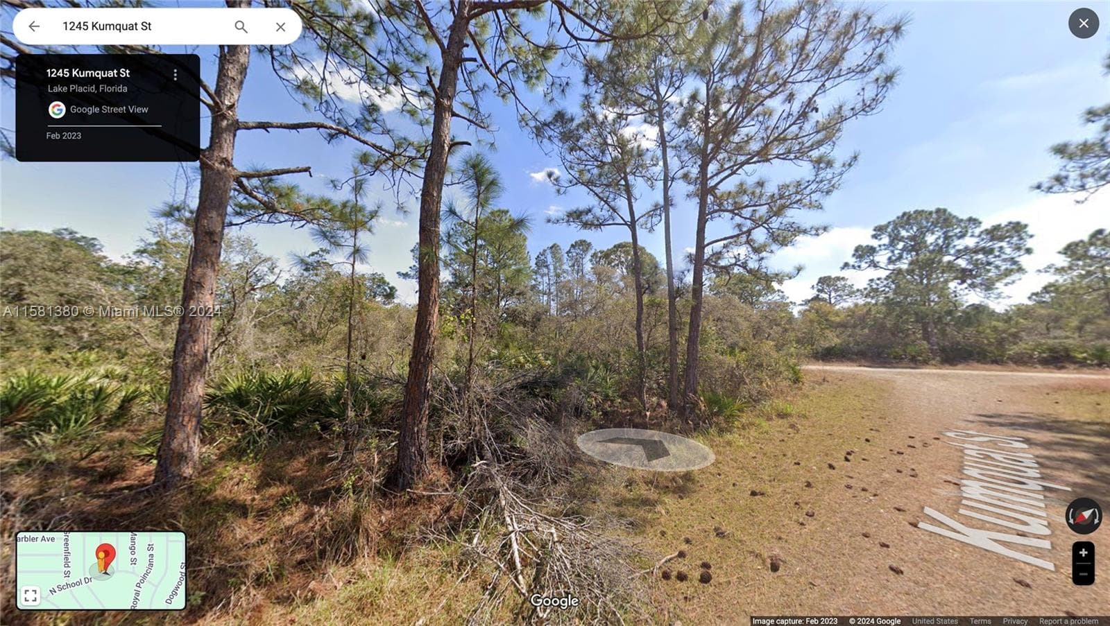 1245 KUMQUAT ST, Lake Placid FL 33852