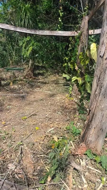 no # Puente de Piedra y Tacares Alajuela Grecia C R, CR