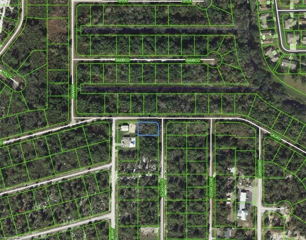 1218 Ailanthus Street, Lake Placid FL 33852