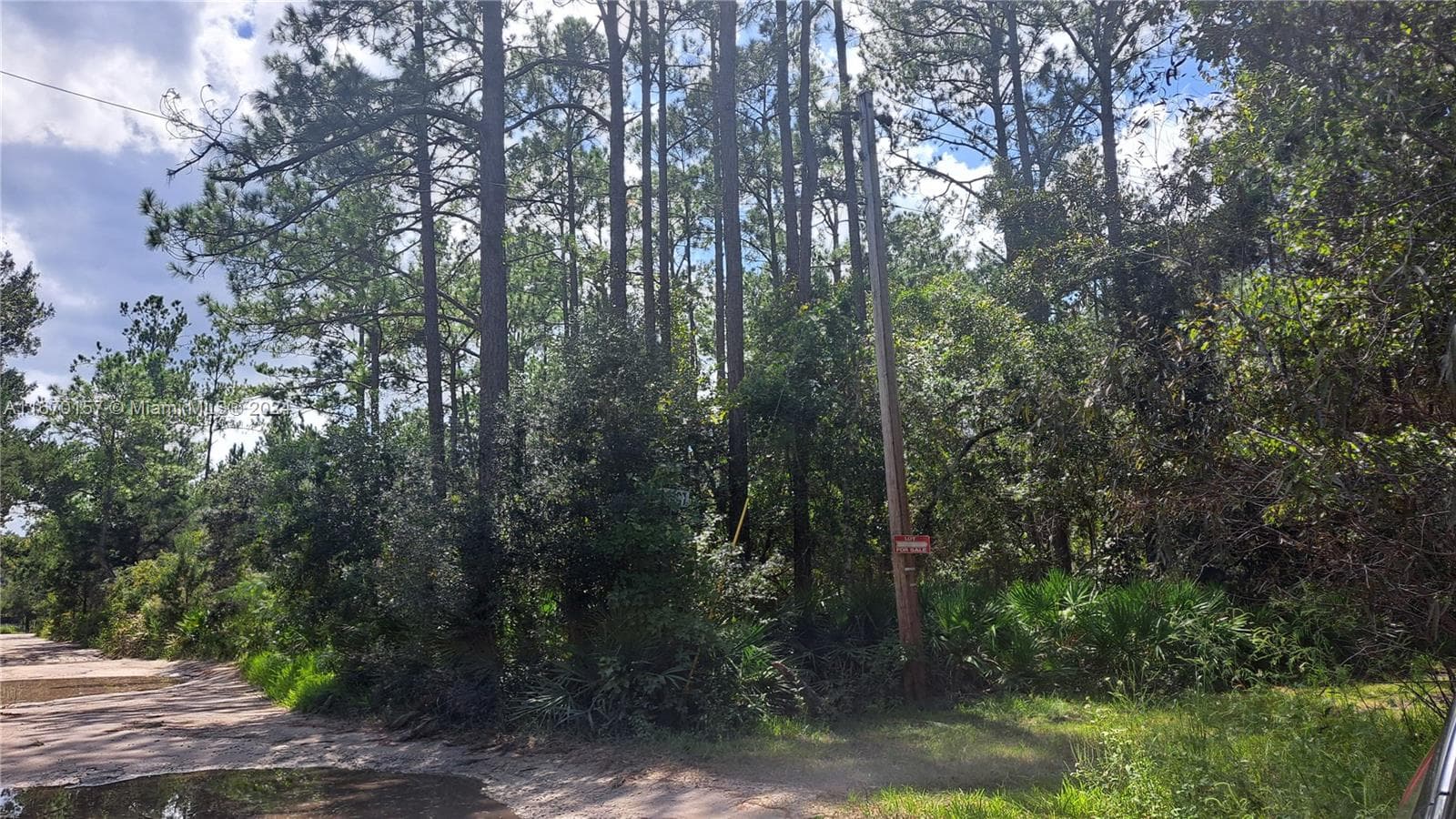 UNDETERMINED NE 42nd ST, Ocala FL 34488