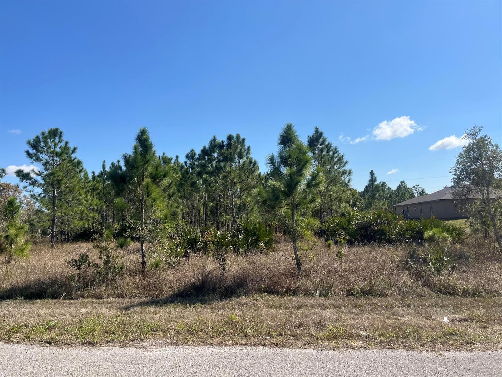 1247 Brunell Avenue, Fort Myers FL 33913