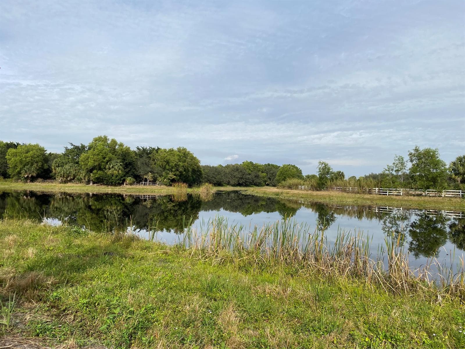 FOX TRAIL - CANAL VIEW 2