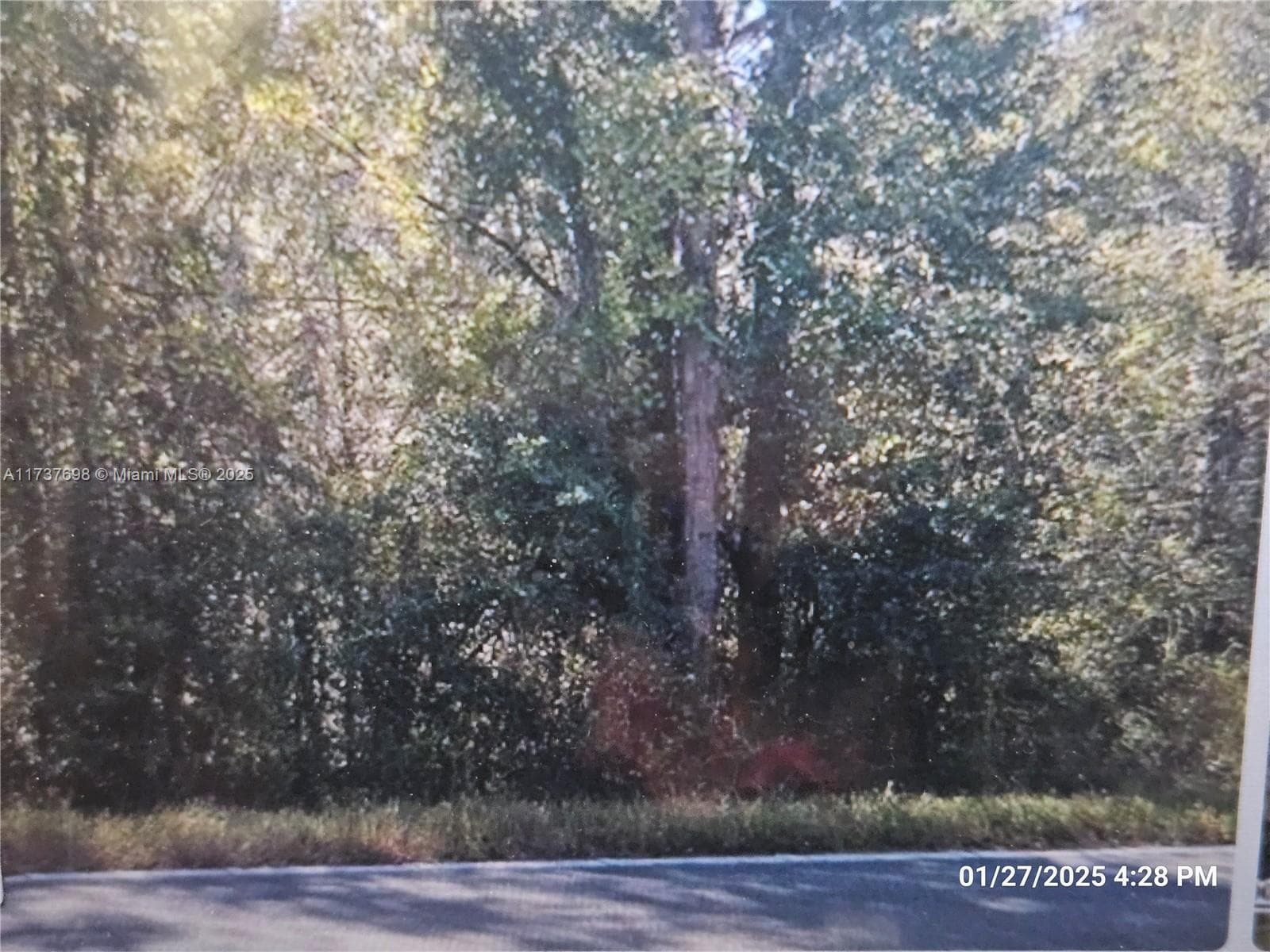 1146 COUNTY RD 20A, Other City - In The State Of Florida FL 32640