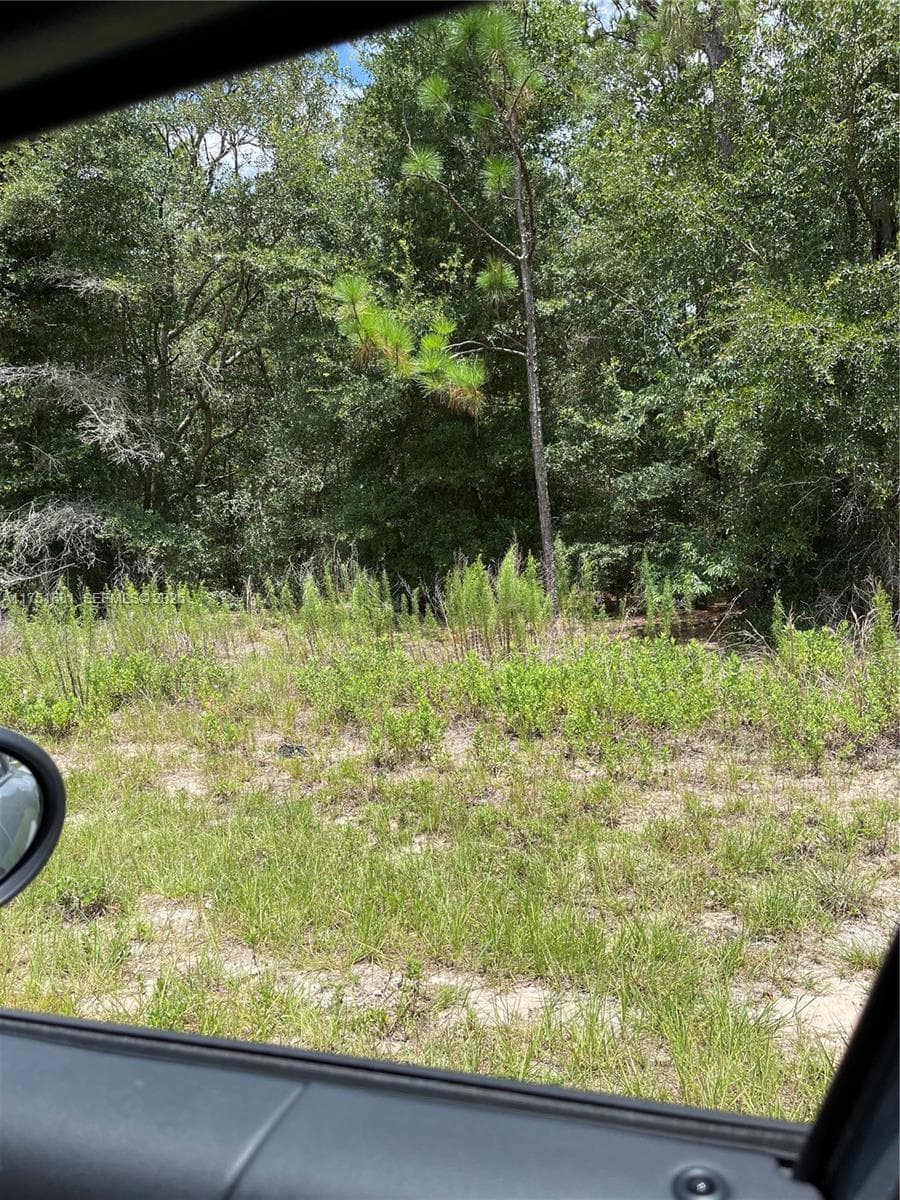 tbd SW 59th LN, Other City - In The State Of Florida FL 34431