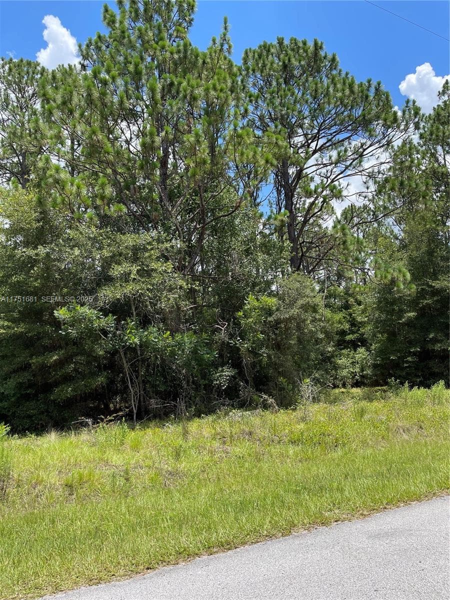 tbd SW 59th LN, Other City - In The State Of Florida FL 34431