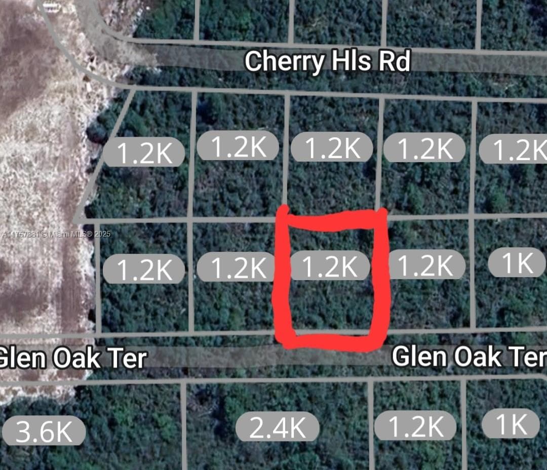 2924 Glen Oak Ter., Sebring FL 33875