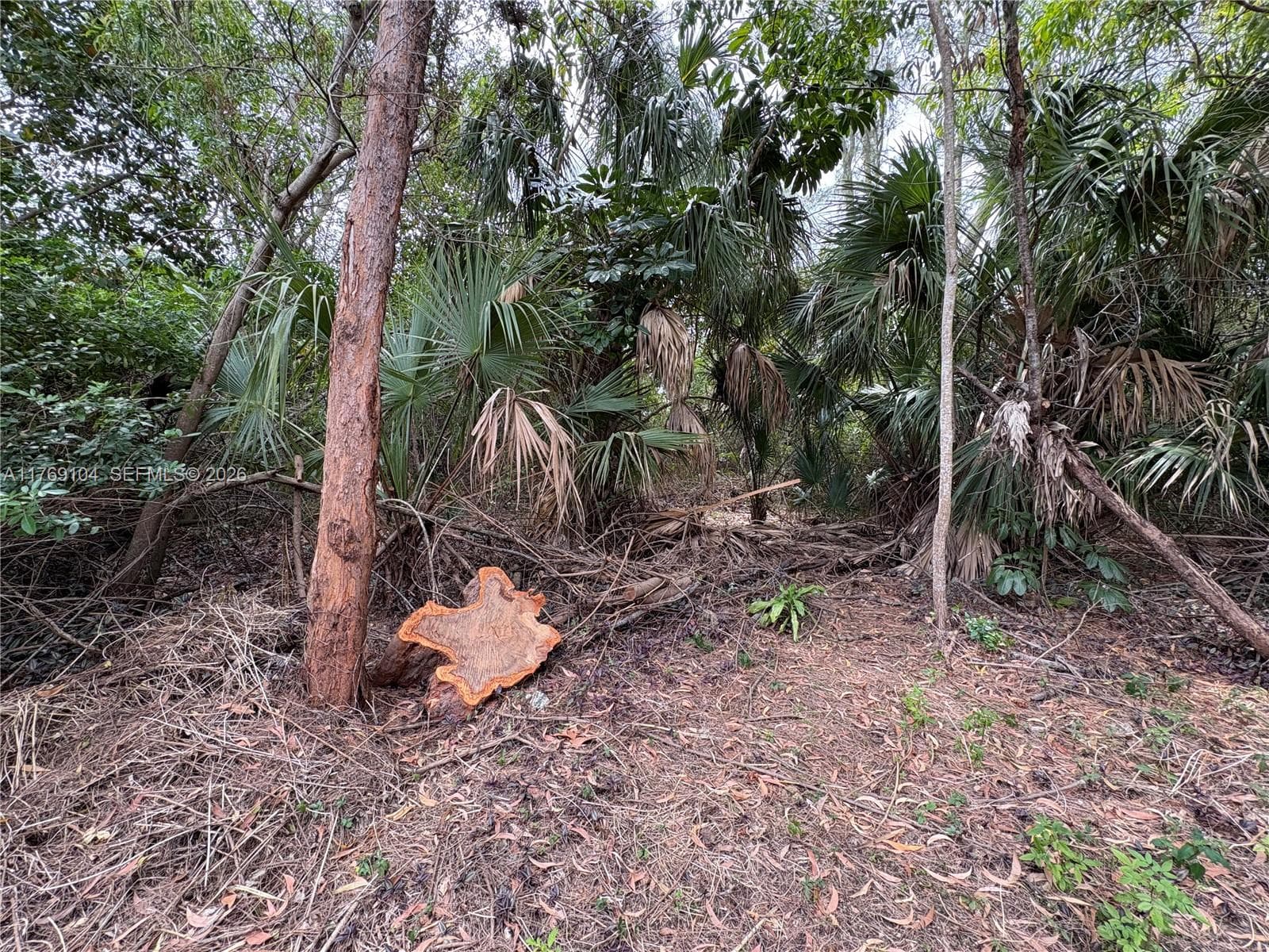 30xx Forest Hills Dr, Coral Springs FL 33065