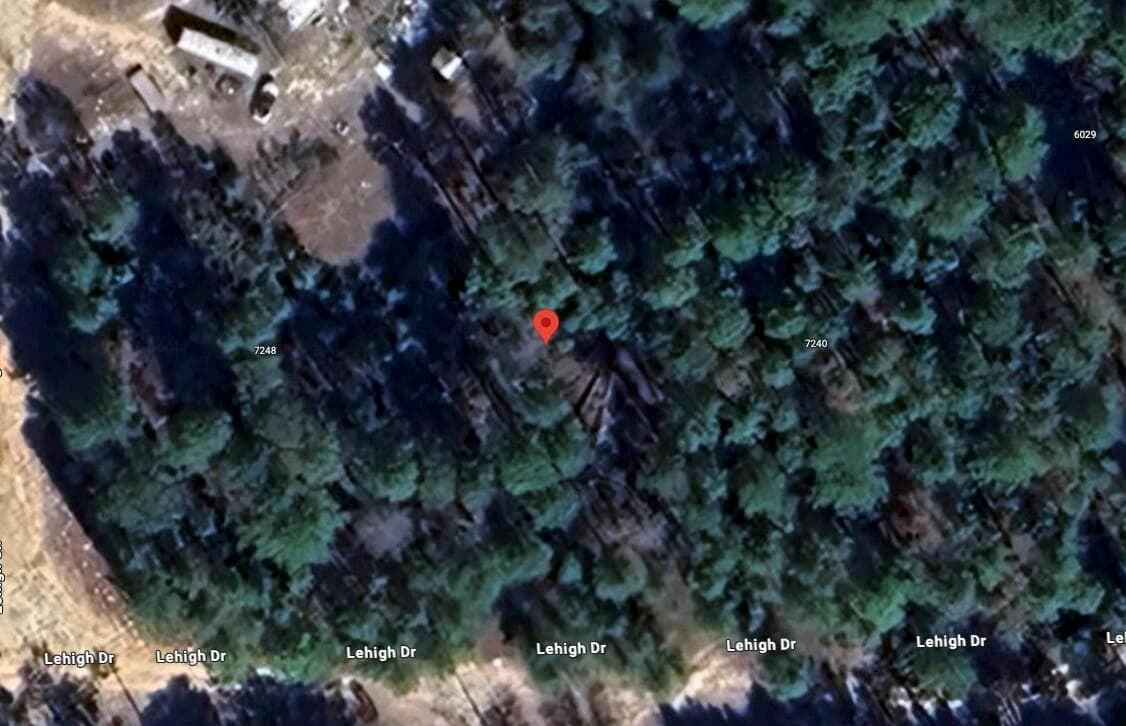 7244 Lehigh Drive, FL 32656