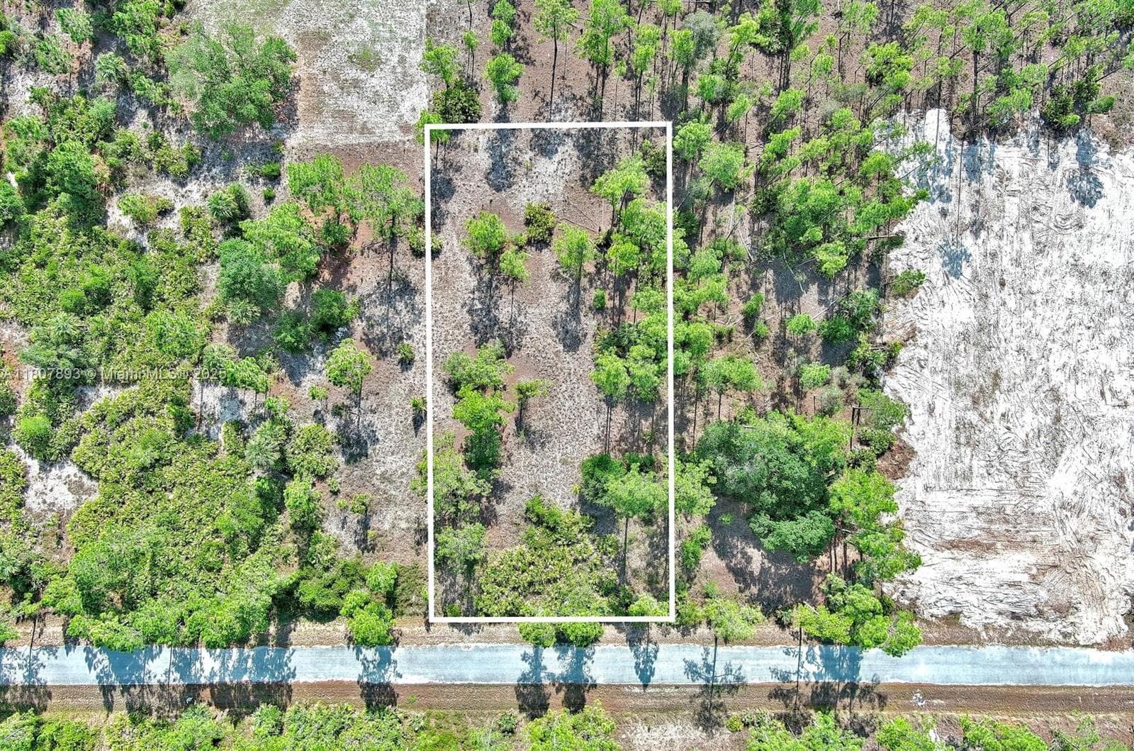 317 Fitch Ave, Lehigh Acres FL 33936