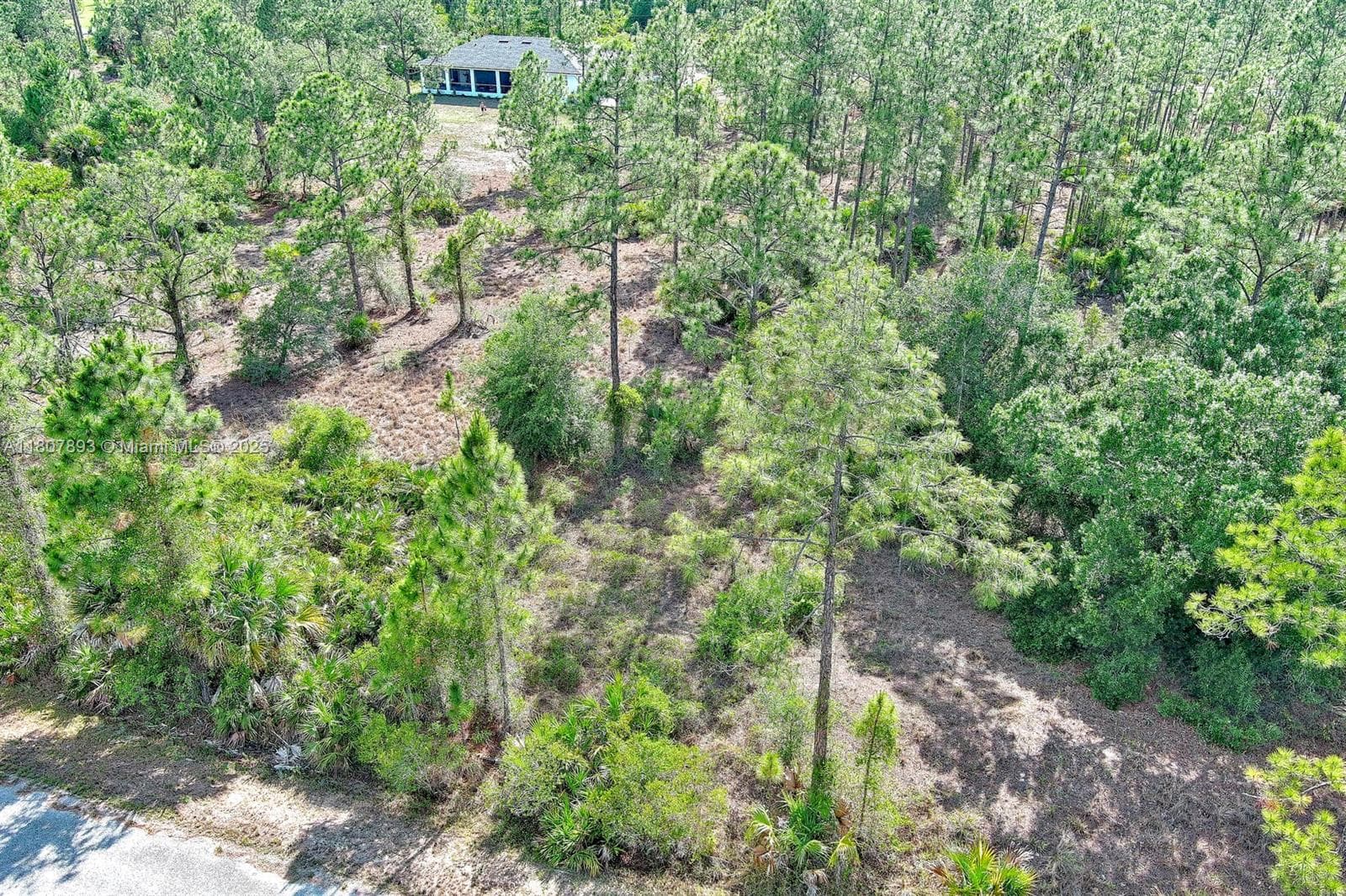 317 Fitch Ave, Lehigh Acres FL 33936