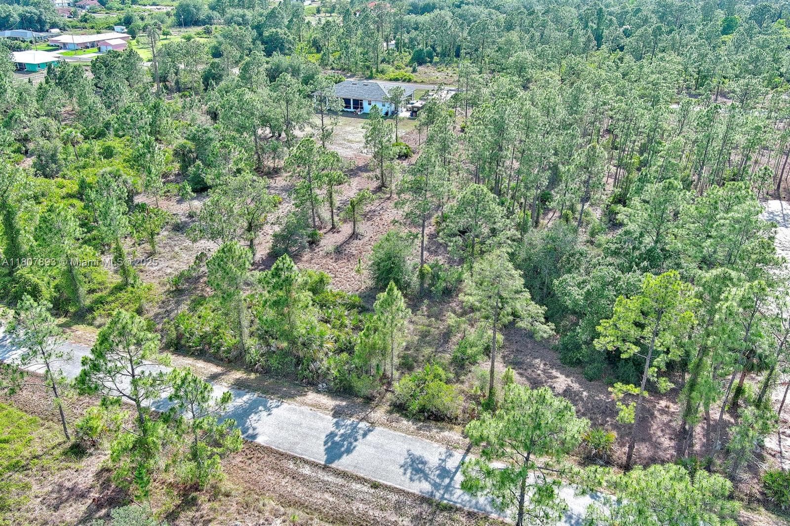 317 Fitch Ave, Lehigh Acres FL 33936