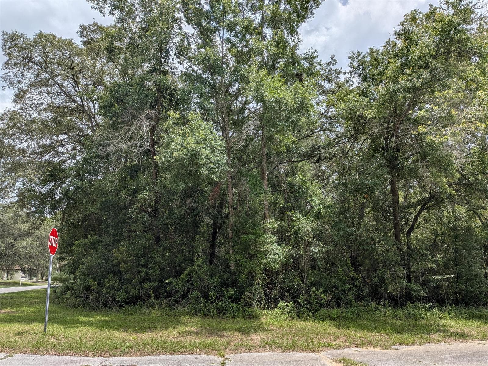 8989 N Conch Terrace, FL 34434
