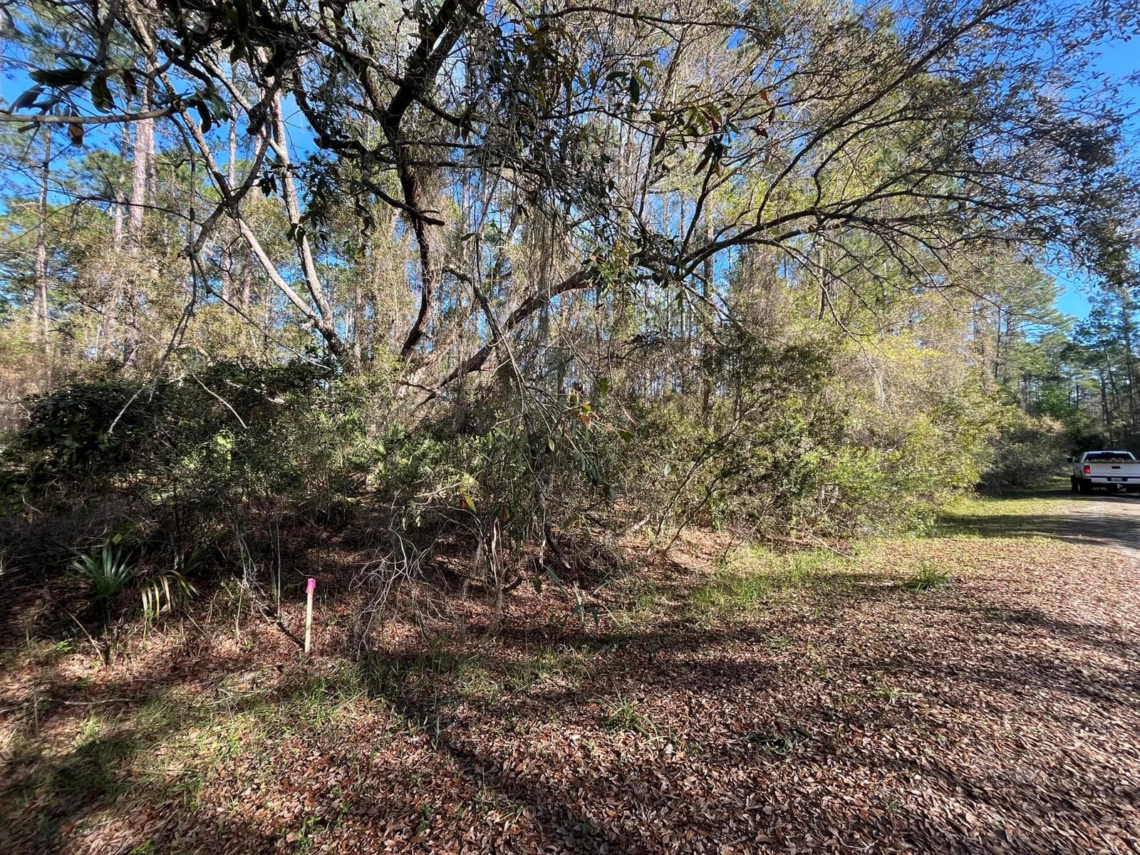 104 SE 5th Street, FL 32139