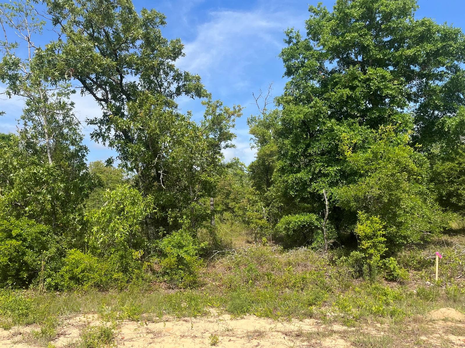 Tbd Rome Avenue, FL 32420