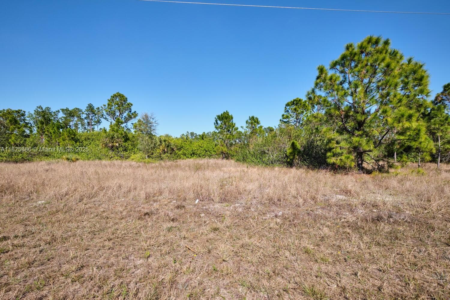 1025 E WINTERS STREET, Lehigh Acres FL 33974