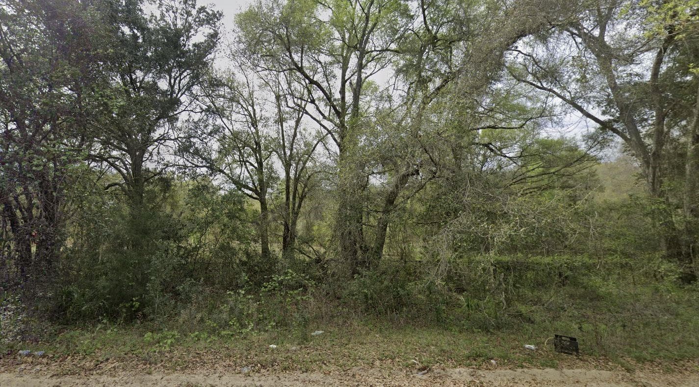 305 Milton Avenue, FL 32148