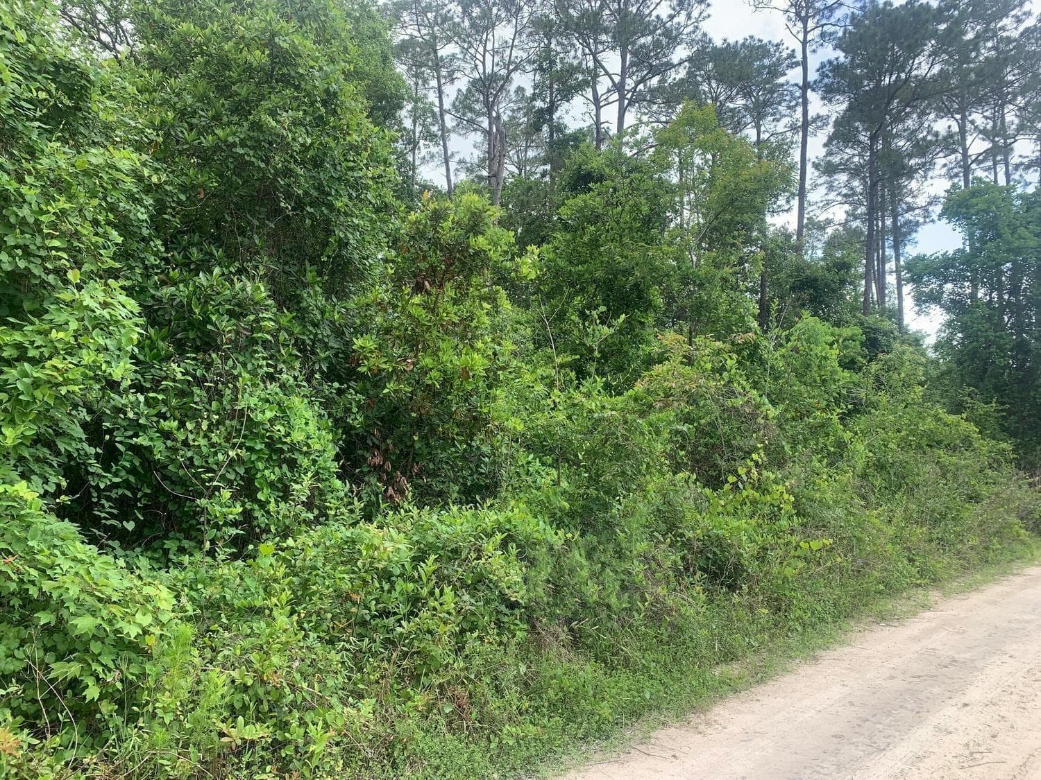 0 Coot Drive, FL 32189