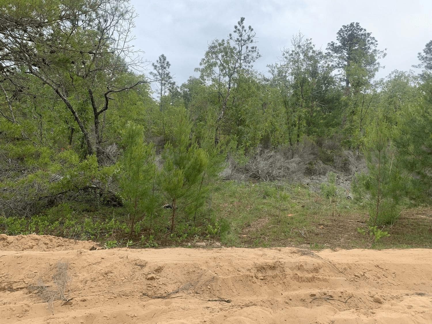 0 May Lane, FL 32148