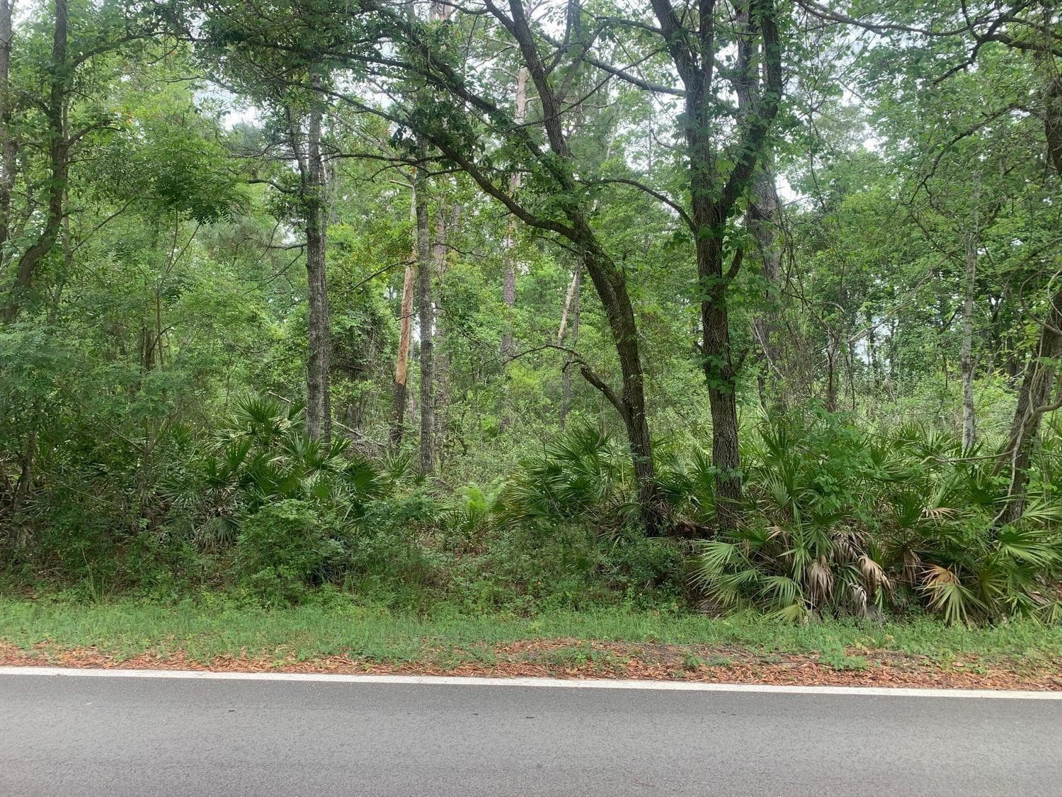 0 Theresa Avenue, FL 32148