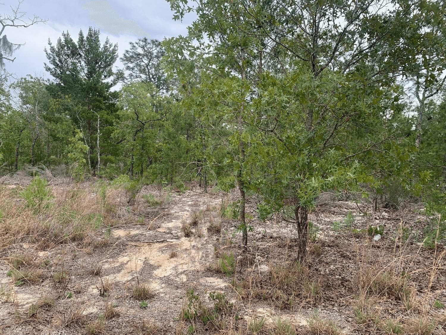 0 Gray Street, FL 32148