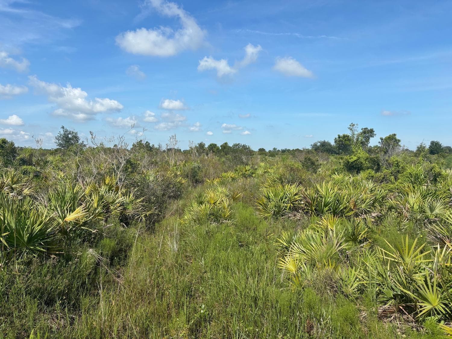 0 NW 312th Street, Okeechobee FL 34972