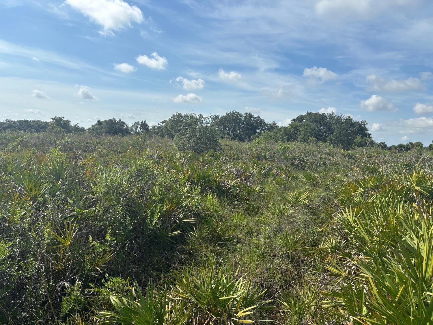 0 NW 310th Street, Okeechobee FL 34972