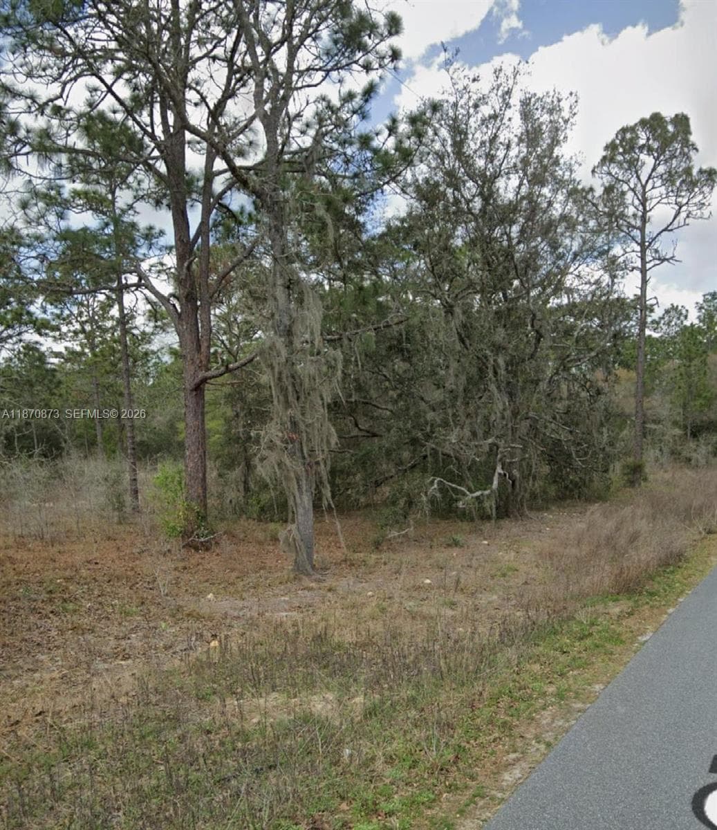 UNDETERMINED SW 130th Ave, Other City - In The State Of Florida FL 34432