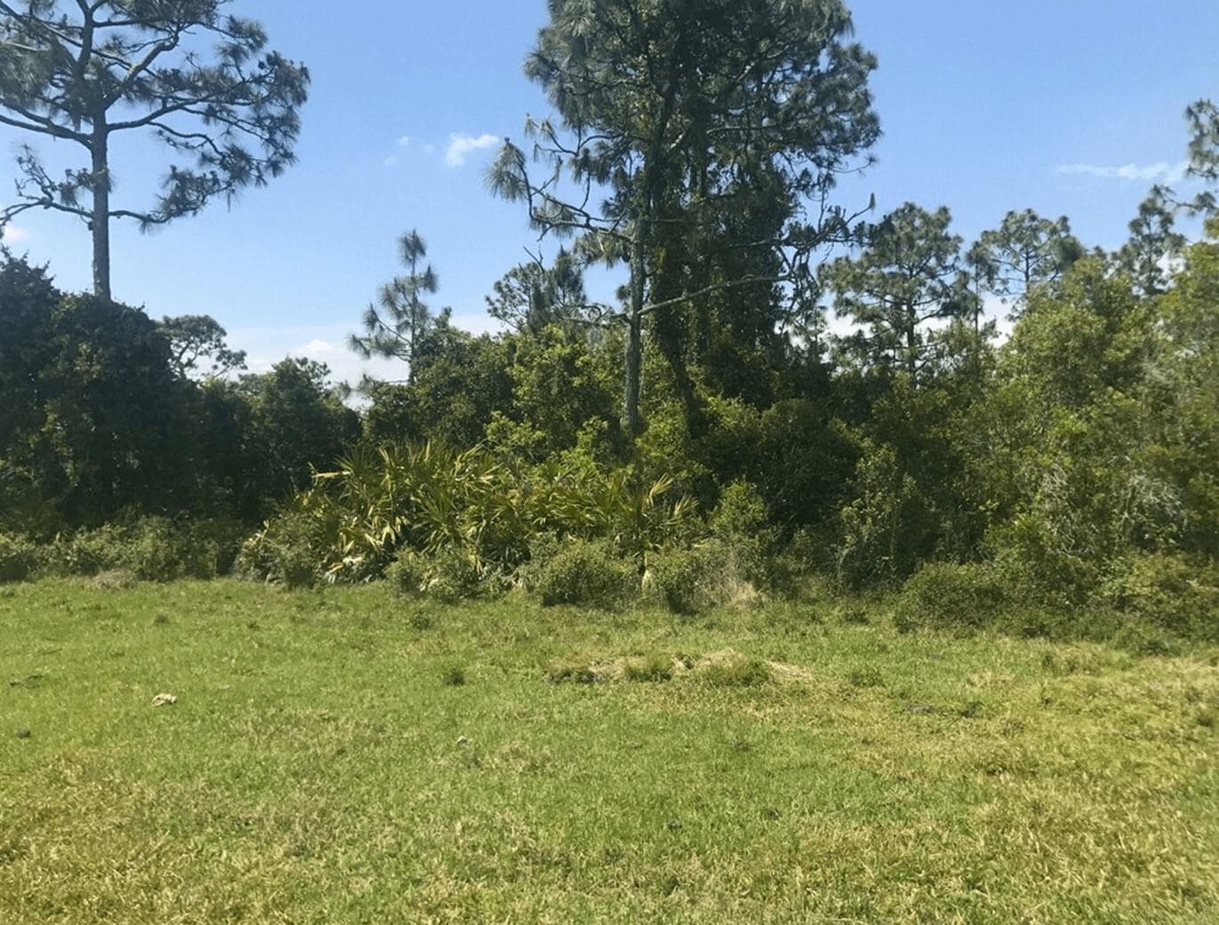 0 Holopaw Groves Road, FL 34772