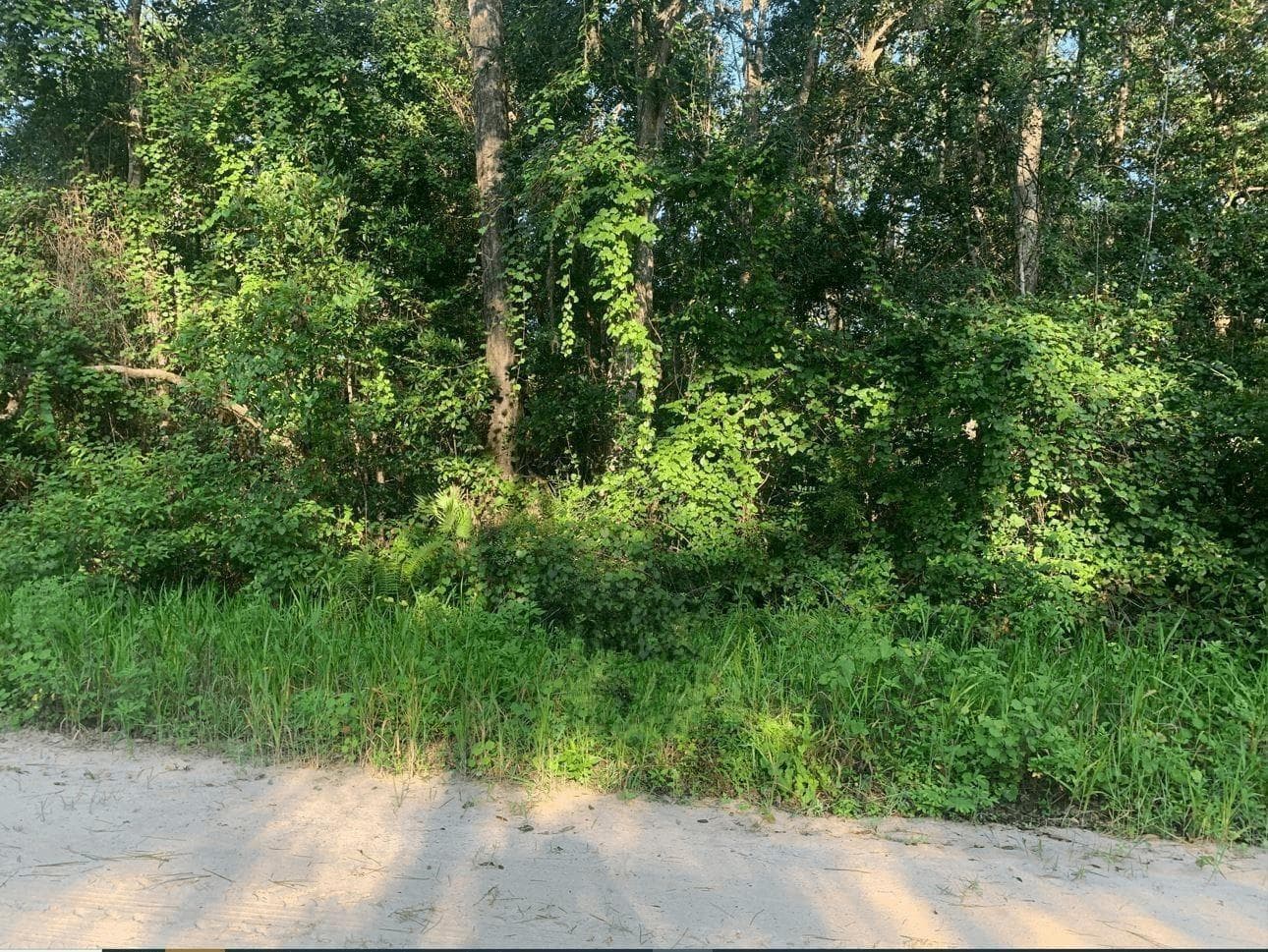 0 Ida Boulevard, FL 32148
