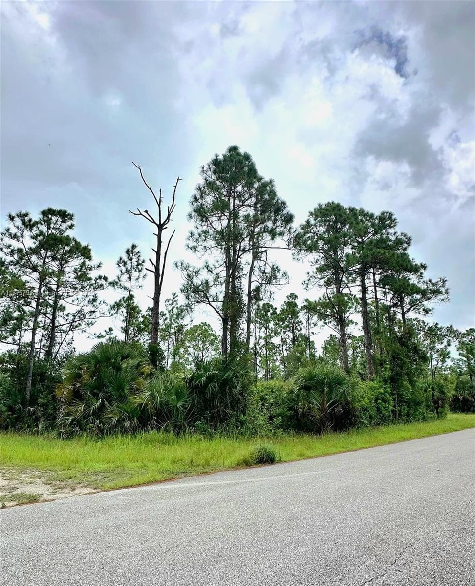 1247 Rake ST E, Lehigh Acres FL 33974