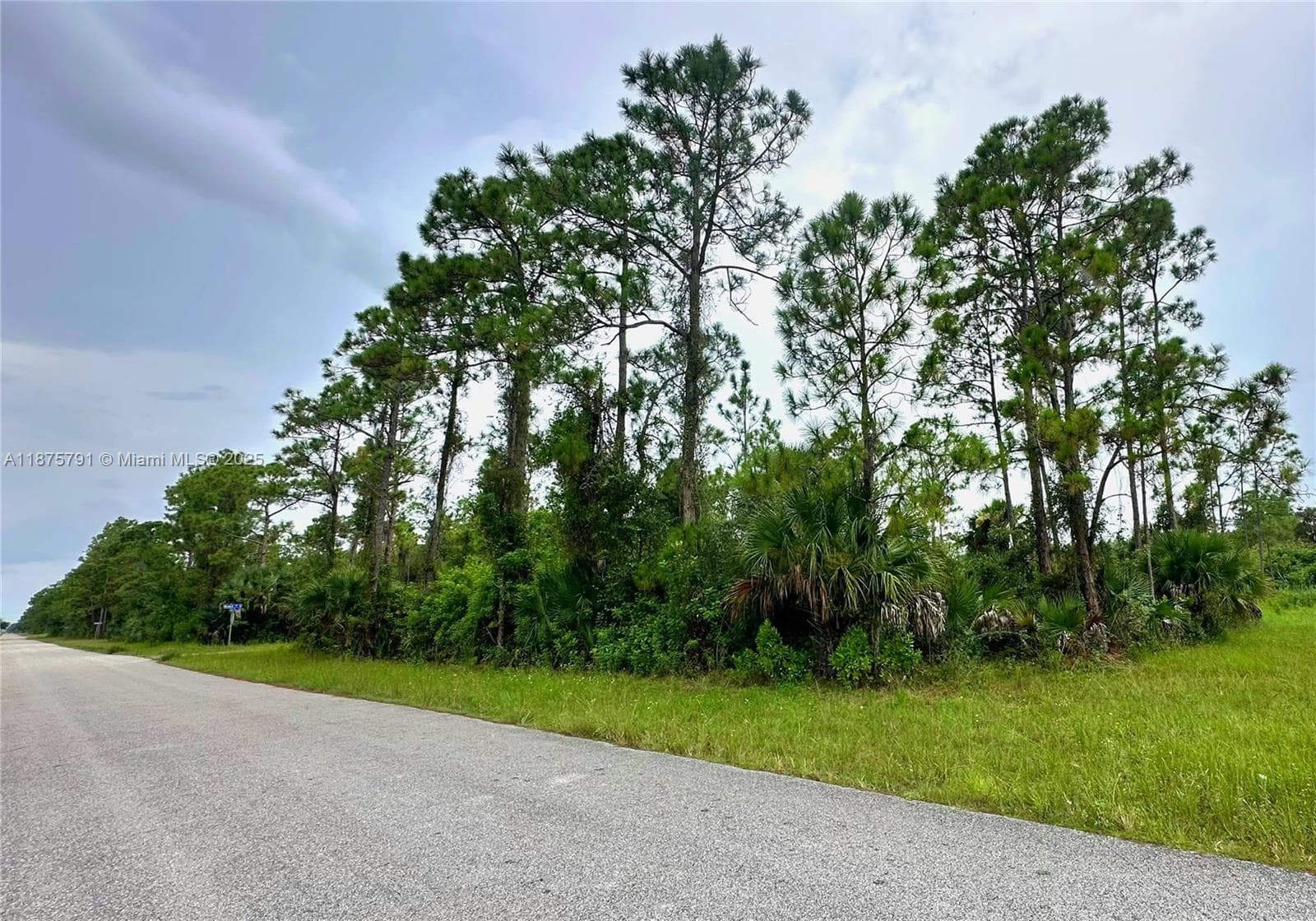 1247 Rake ST E, Lehigh Acres FL 33974
