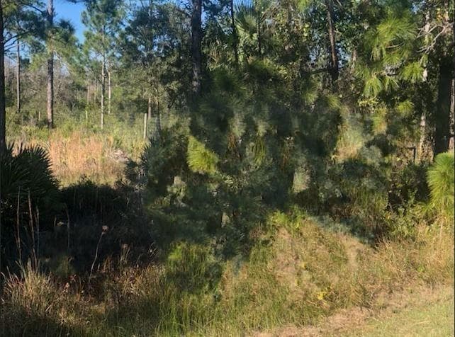 0 Kenansville, Okeechobee FL 34739