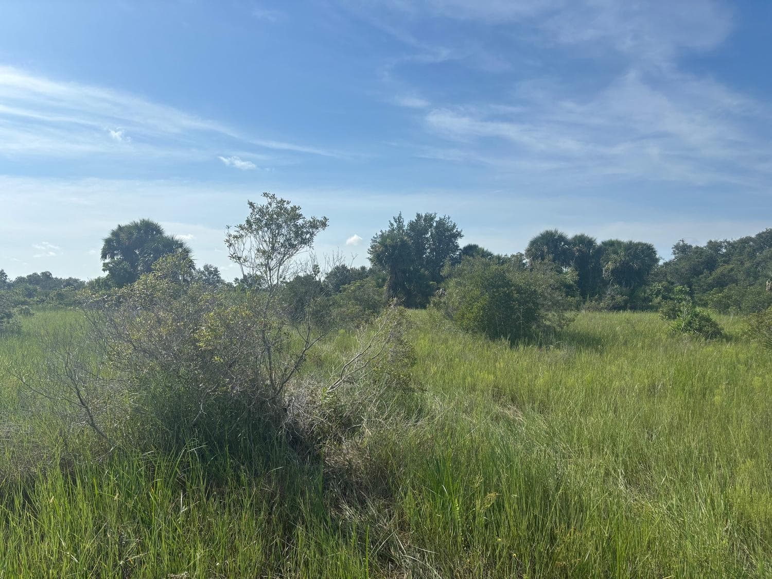 0 NW 308th Street, Okeechobee FL 34972