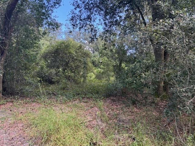 0 County Rd 54, FL 33849