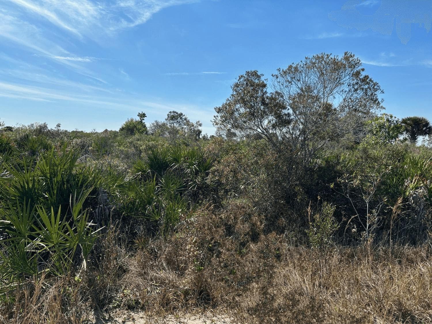 0 NW 308th Street, Okeechobee FL 34972