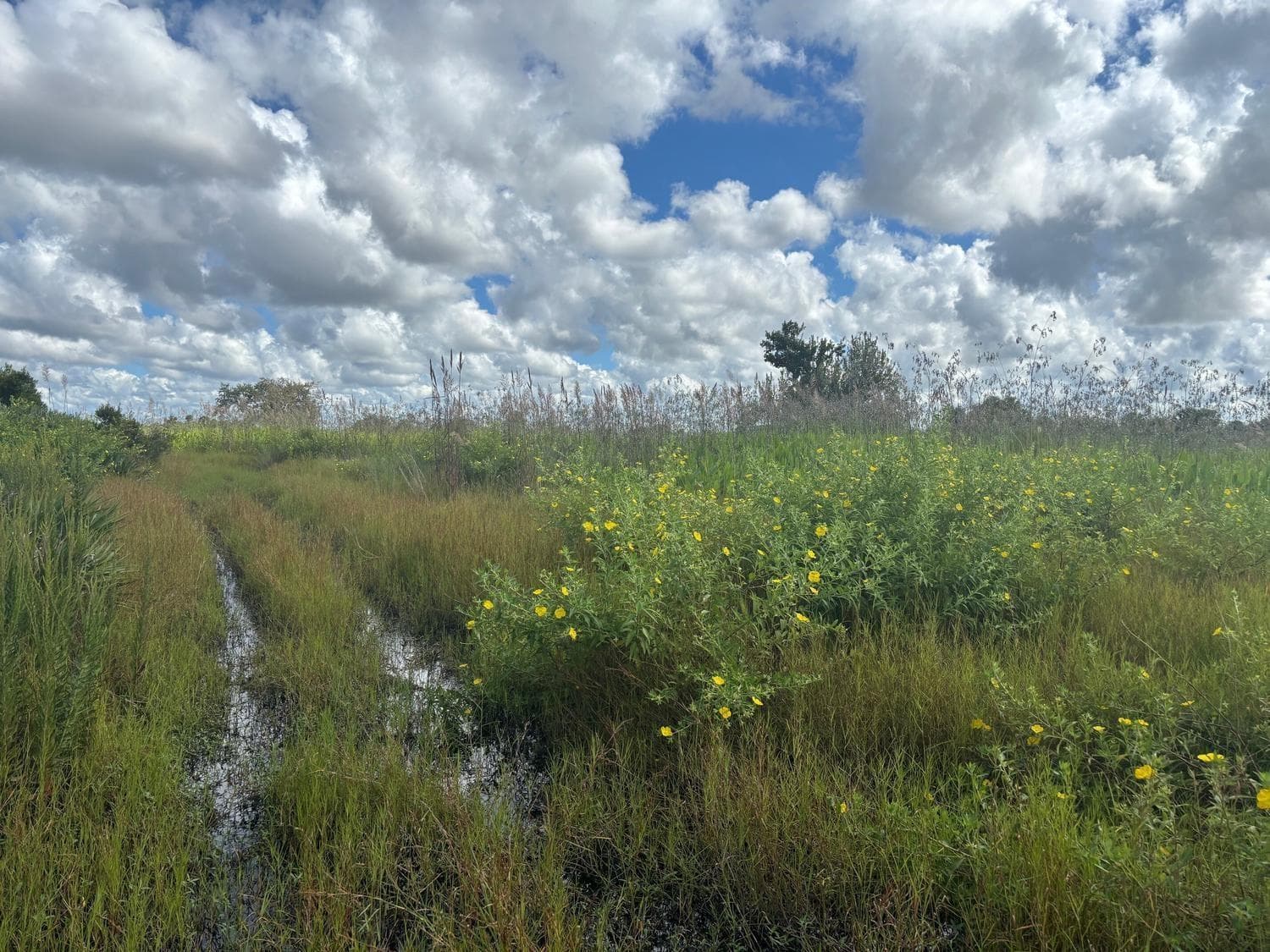 0 NW 316th Street, Okeechobee FL 34972