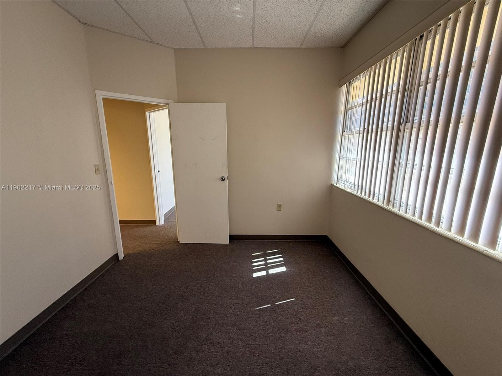 220 Miracle Mile # B229, Coral Gables FL 33134