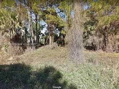 676 KODAK ST, Lehigh Acres FL 33972