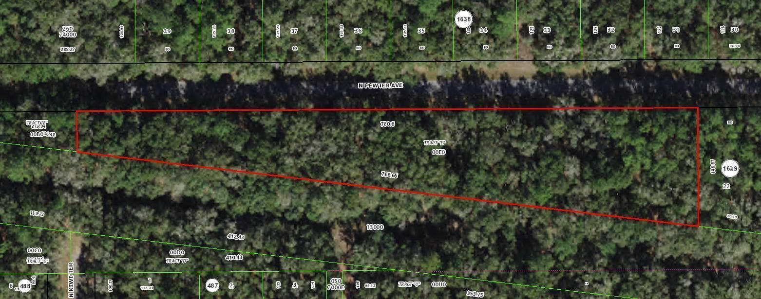 182 E Kingsdale Street, FL 34434