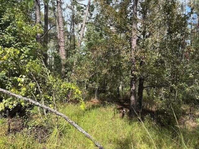 0 County Rd 54, FL 33849