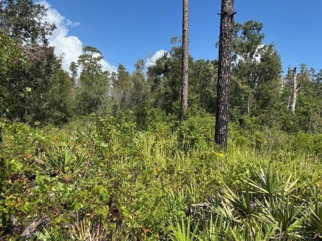 0 County Rd 54, FL 33849