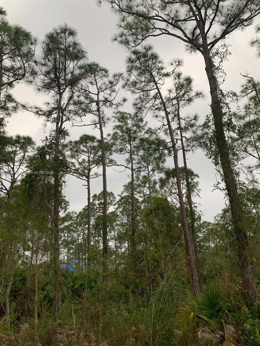 28338 Calais Ave, Punta Gorda FL 33955
