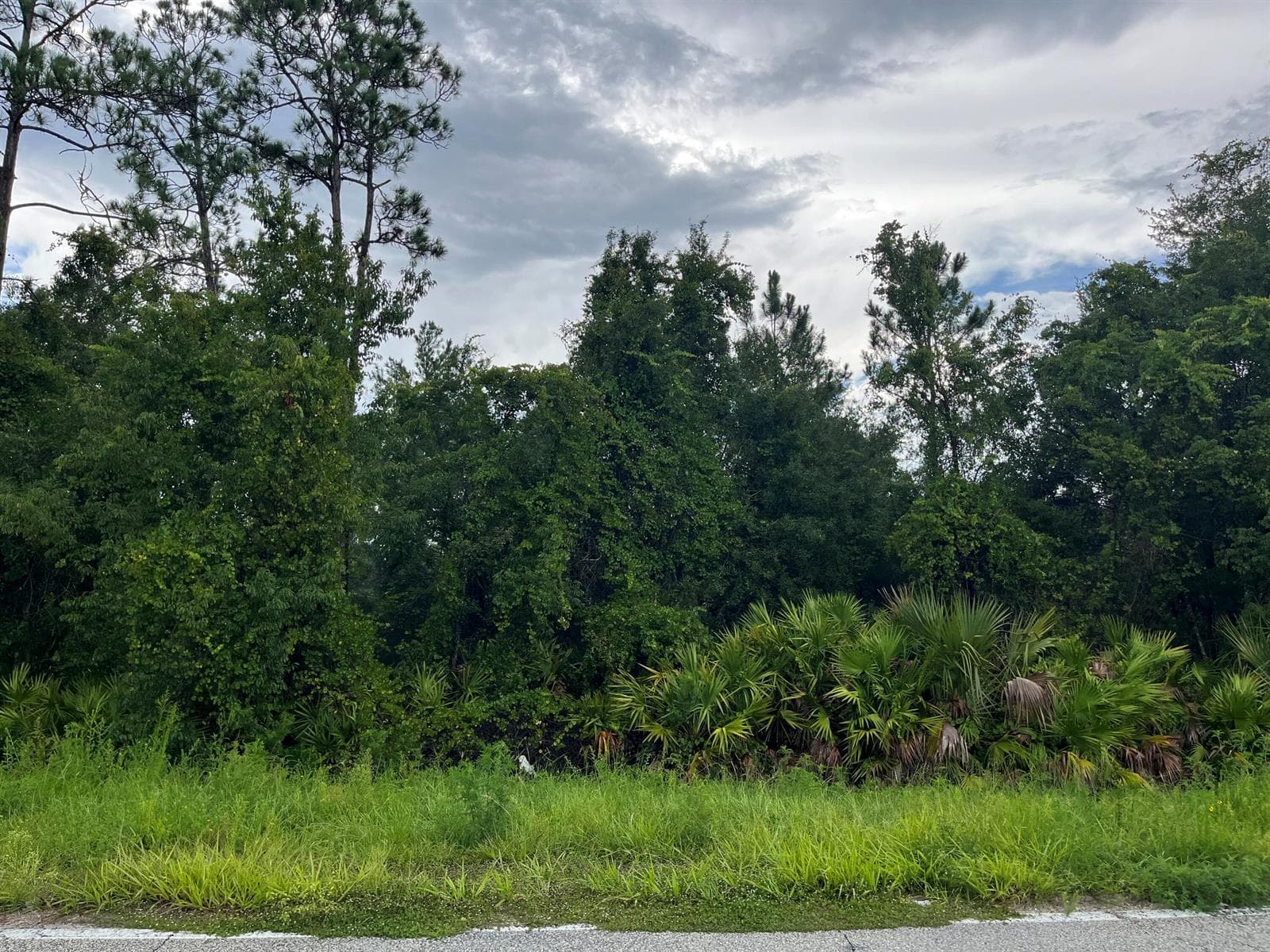 6883 St Johns Avenue, Palatka FL 32177
