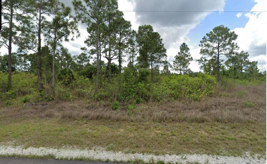 1003 Hines Avenue, FL 33920