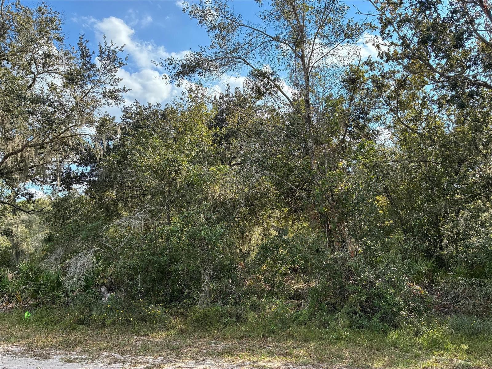 2521 Plumosa Drive, FL 33855