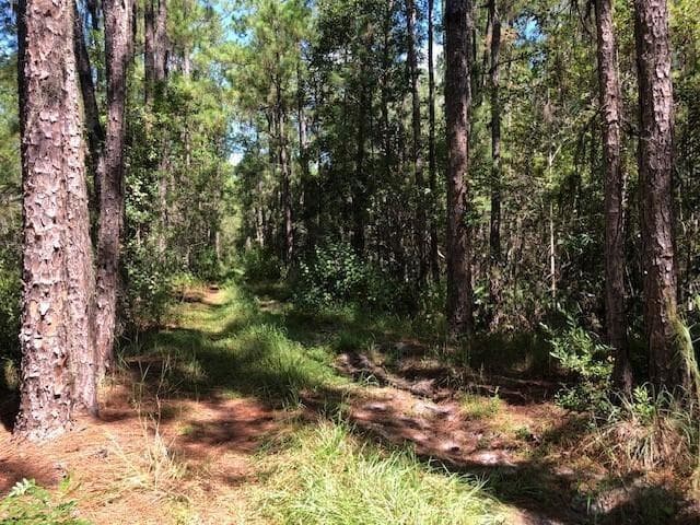 0 Old Grade Road, FL 33868