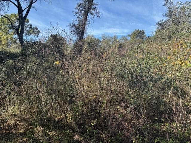 0 County Rd 54, FL 33849