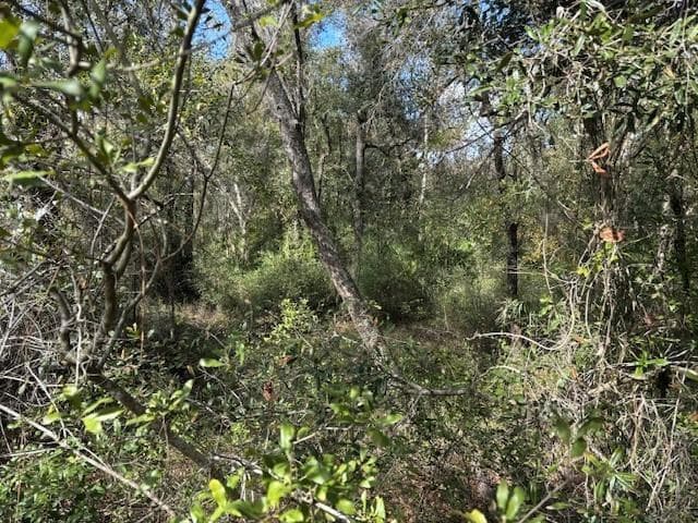 0 County Rd 54, FL 33849